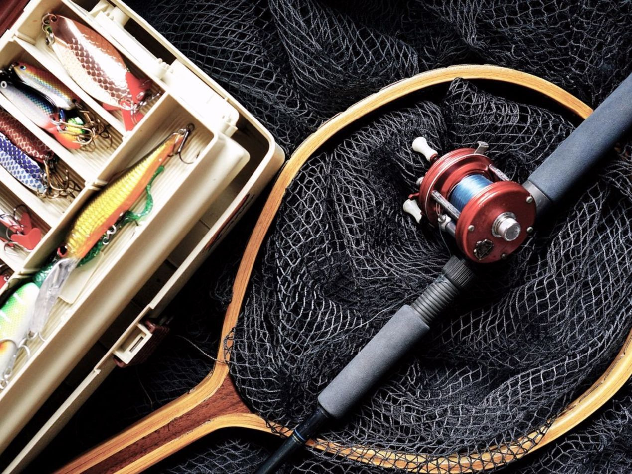 Margem aberta e mata fechada ao fundo, onde começa a floresta